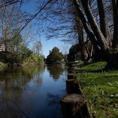 Surrey Hills Escape: Riverside Walks & Quick Links Godalming Extérieur photo